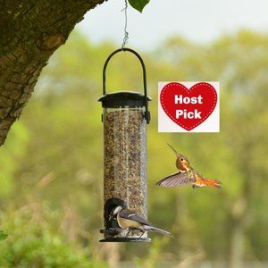 Upright Bird Feeder Hanging Seed Feeder Shatter Proof Easy Clean